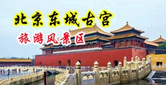 浪潮小黄片中国北京-东城古宫旅游风景区